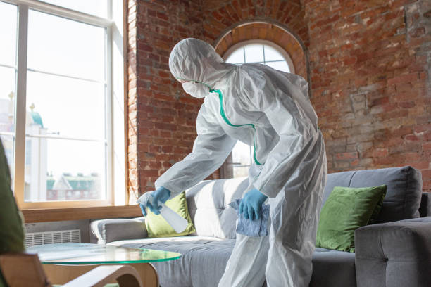 Reliable Nashville, IN Mold Removal Services Solutions